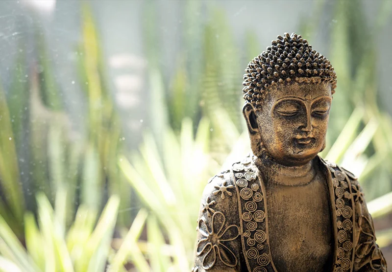 Tratamento Psiquiatrico Humanizado